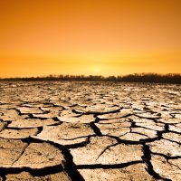 Drought